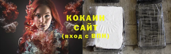 индика Пролетарск