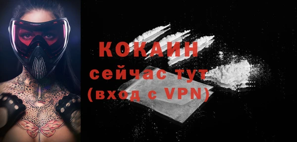 молекула духа Протвино