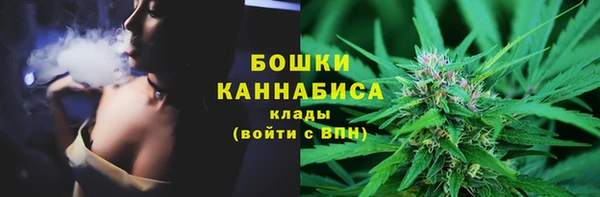индика Пролетарск