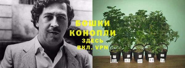 прущая мука Долгопрудный