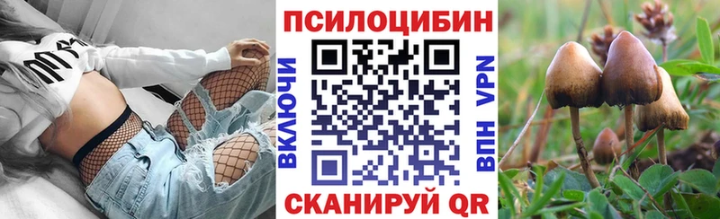 Псилоцибиновые грибы GOLDEN TEACHER  Белая Холуница 